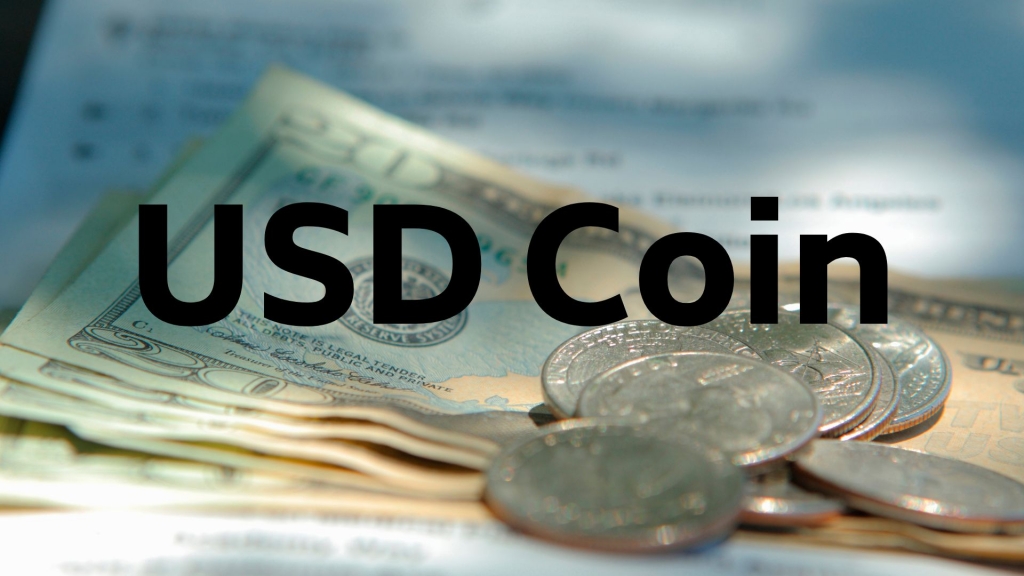 USD Coin Alınır mı