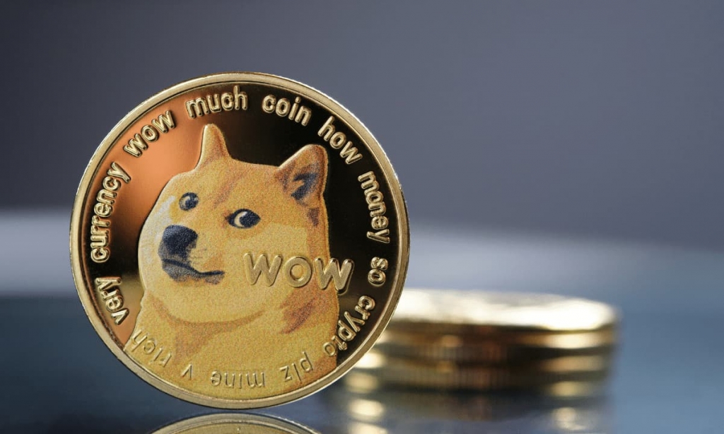 Doge Coin Analiz